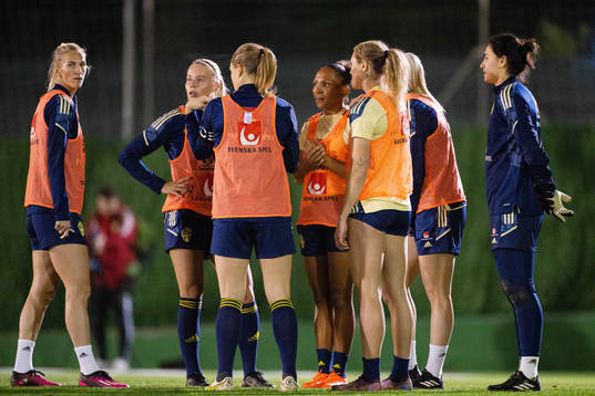 Players of the Swedish women's national football team at a