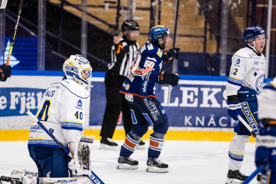 Leksands målvakt Mantas Armalis depp