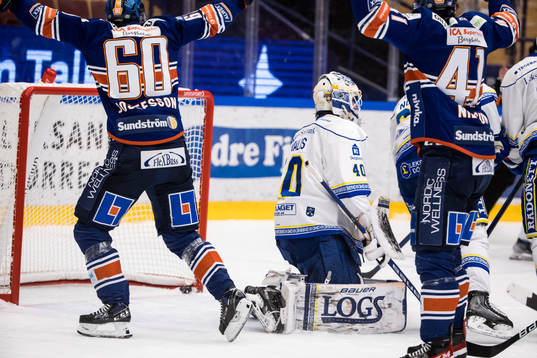 Leksands målvakt Mantas Armalis depp