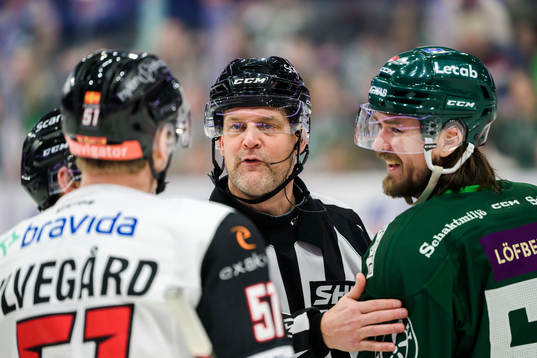 Domare Mikael Nord