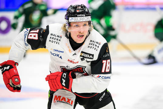 Malmö Redhawks Marcus Sylvegård