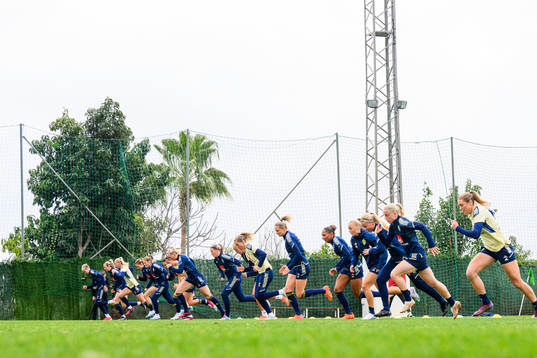 Players of the Swedish women's national football team warm