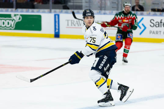 HV71s Radan Lenc