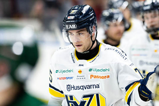 HV71s Radan Lenc jublar