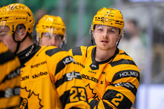 Skellefteås Linus Högberg