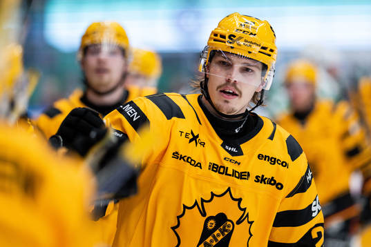 Skellefteås Jonathan Johnsson jublar