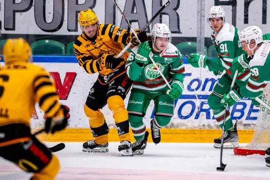 Skellefteås Max Lindholm och Rögles Valtteri Viljanen