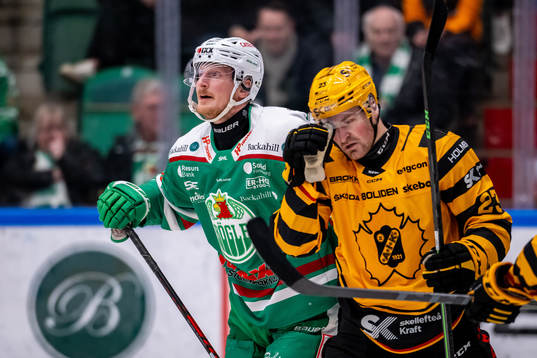 Rögles Simon Hjalmarsson  och Skellefteås Adam Mascherin