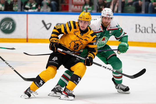 Skellefteås Elias Stenman och Rögles Vojtech Mozik