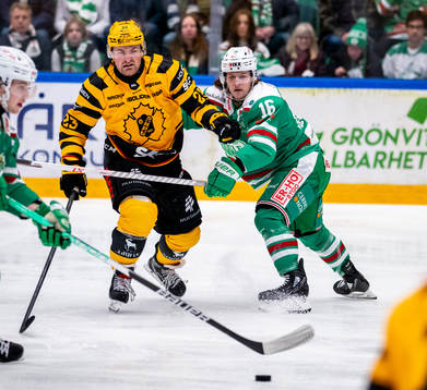 Skellefteås Adam Mascherin och Rögles Valtteri Viljanen