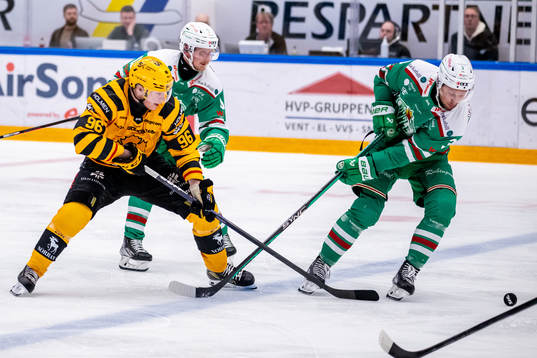 Skellefteås Rickard Hugg  och Rögles Michael Kapla