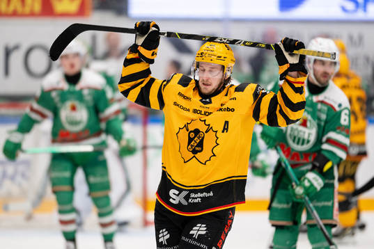 Skellefteås Jonathan Pudas deppar