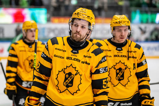 Skellefteås Arvid Lundberg deppar