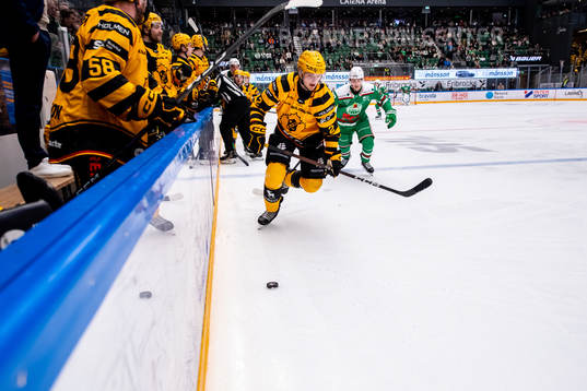 Skellefteås Linus Högberg