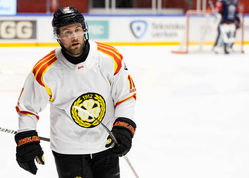 Brynäs Johan Larsson jublar