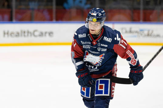 Linköpings Sebastian Strandberg jublar