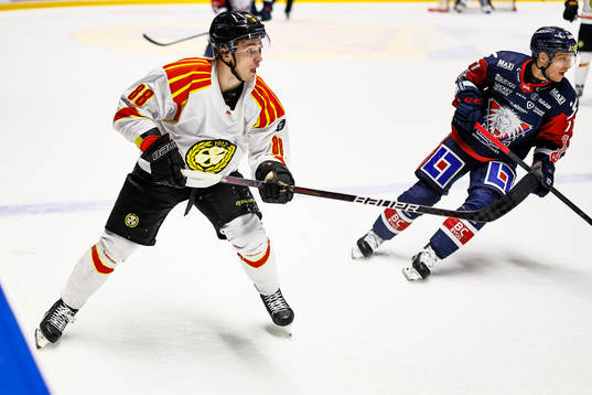 Brynäs Dmytro Timashov
