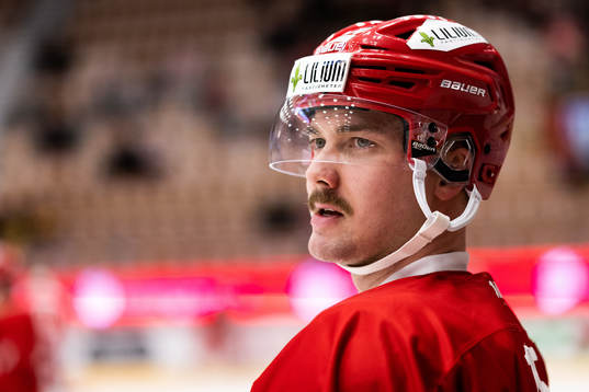 Timrås Panu Mieho