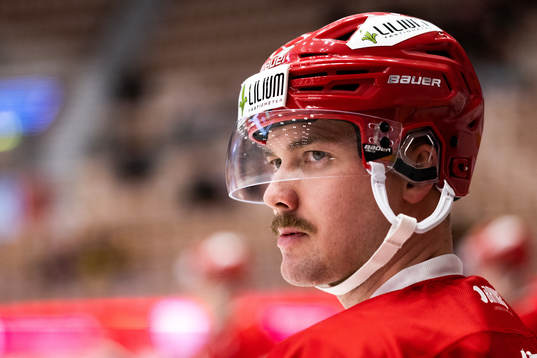 Timrås Panu Mieho