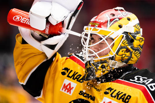 Luleås målvakt Matteus Ward