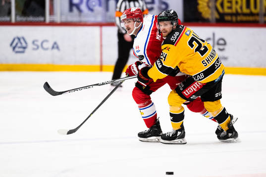 Timrås Panu Mieho och Luleås Brendan Shinnimin