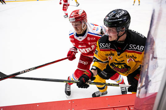 Timrås Erik Andersson och Luleås Julius Honka