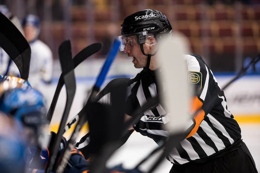 Domare Johan Magnusson