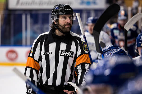 Domare Mikael Sjöqvist