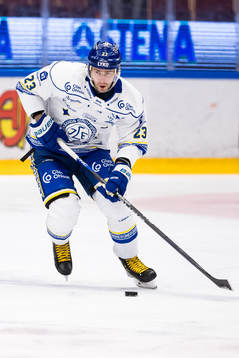 Leksands Mikael Ruohomaa