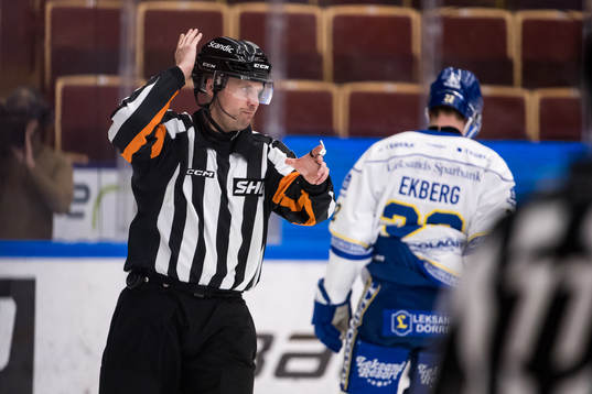 Domare Johan Magnusson