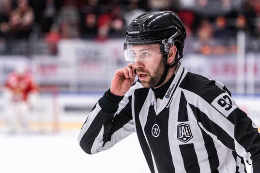 Domare Robin Jacobsson