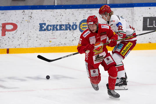 Almtunas Magnus Eisenmenger och Modos Theodor Niederbach