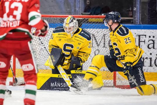 Södertäljes målvakt Nikita Tolopilo