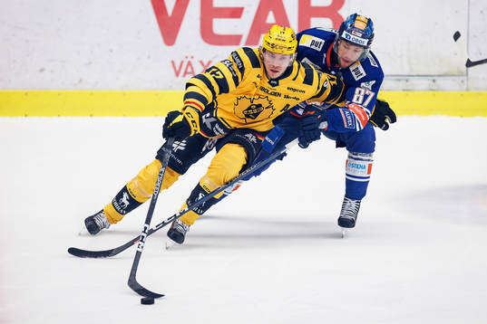 Bläddra bland fler bilder av Ishockey, SHL, Växjö - Skellefteå