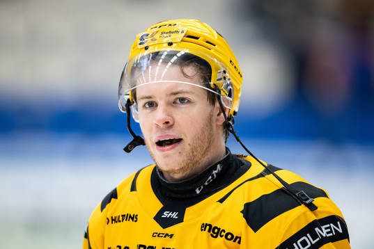 Skellefteås Rickard Hugg jublar