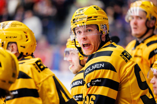 Skellefteås Rickard Hugg