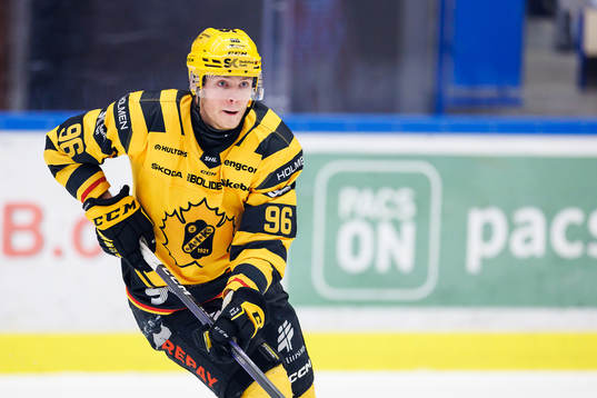 Skellefteås Rickard Hugg