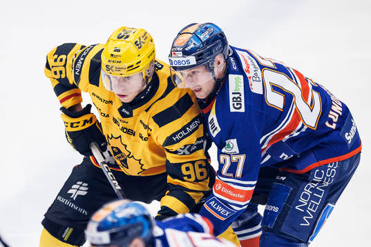 Skellefteås Rickard Hugg och Växjös Martin Lundberg