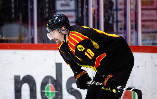 Brynäs Anton Rödin