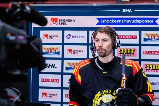 Brynäs Anton Rödin