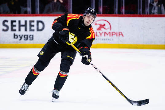 Brynäs Niklas Friman
