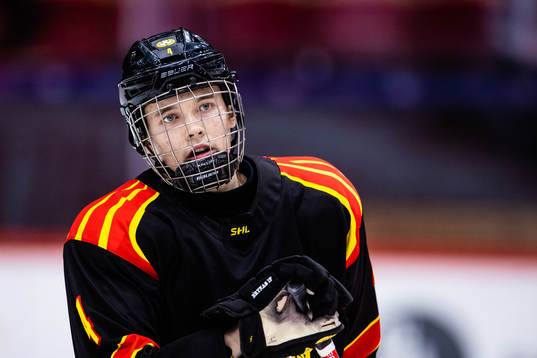 Brynäs Theo Lindstein