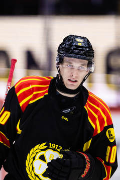 Brynäs David Sklenicka