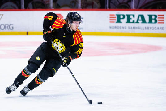 Brynäs Oskar Kvist