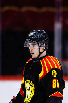 Brynäs Dmytro Timashov