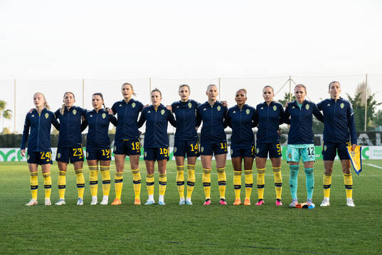 The players of Sweden