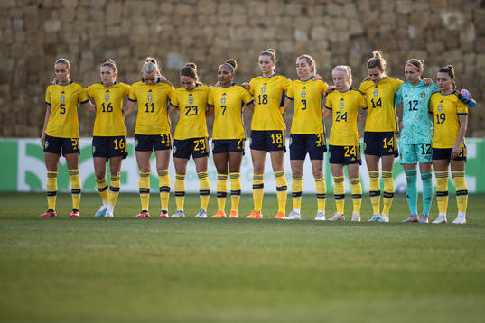 The players of Sweden