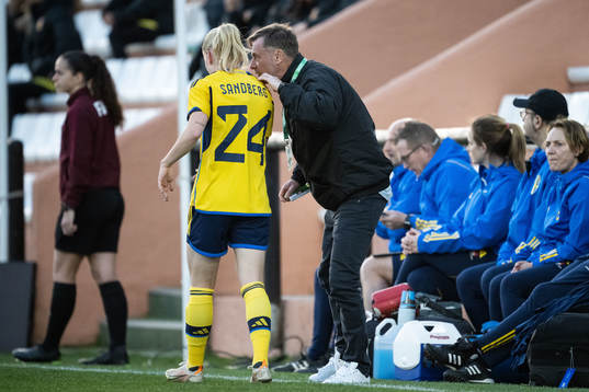Head coach Peter Gerhardsson of Sweden  in discussion with