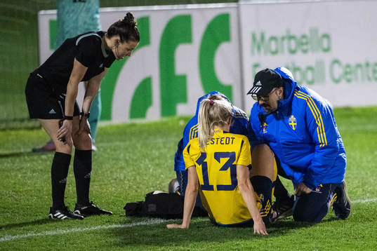 Amanda Ilestedt of Sweden in pain