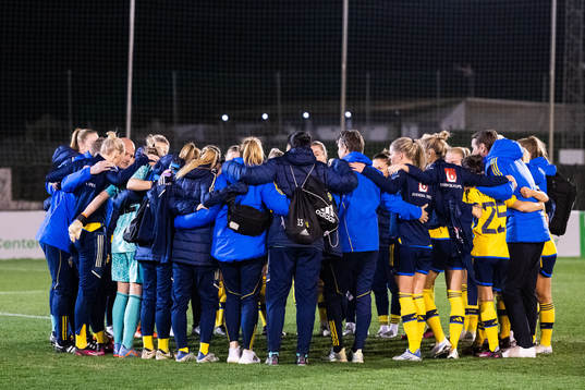 The players of Sweden gather